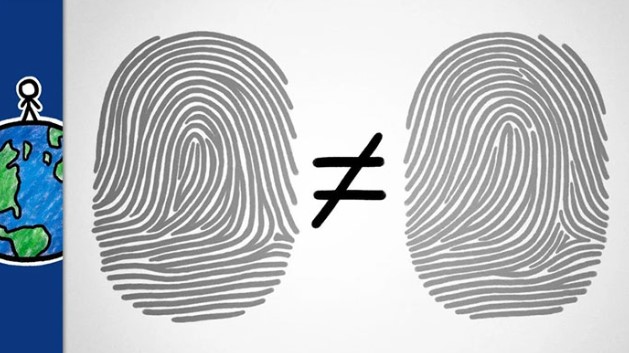 Tại sao trên thế giới, hầu như không có hai người nào có dấu vân tay giống hệt nhau?