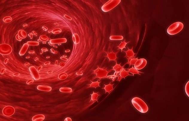 Tế bào trong cơ thể tự thay mới liên tục, sao con người vẫn già đi?